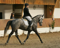 159-Laps-Schalm-A-03