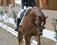 225-Susi-Sorglos-01