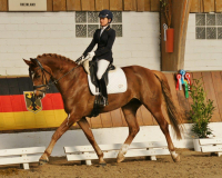 225-Susi-Sorglos-13