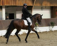 DSC03861-A-Gehring-Matthias
