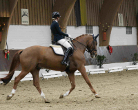 DSC03943-A-Frenzen-Annabe