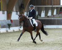 DSC03966-A-Schiergen-Heiner