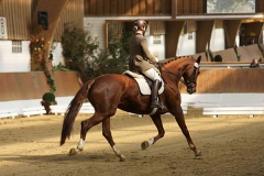 DSC07141-C