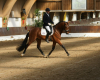 125-Schiergen-Heiner-03