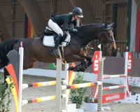 153-Wilke-Viola-02