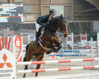 277-Wilke-Viola-01