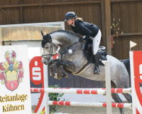 DSC03771-Wilke-Viola
