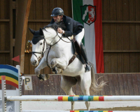 DSC03833-A-Dennis-Tolles